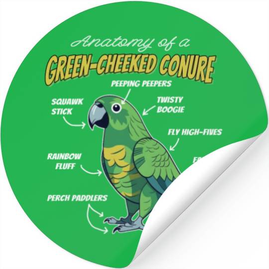 Green Cheeked Conure Anatomy Stickers