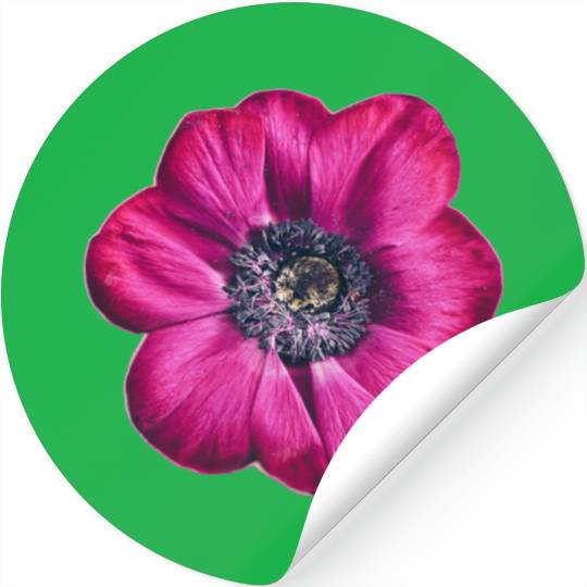 flower Violet Majesty Stickers