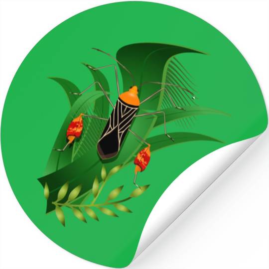 Anisoscelis alipes leaf-footed bug and green leave Stickers