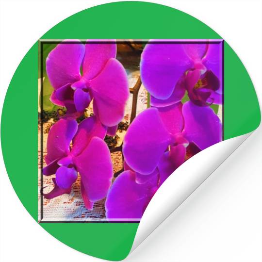 Orchid 4 Stickers