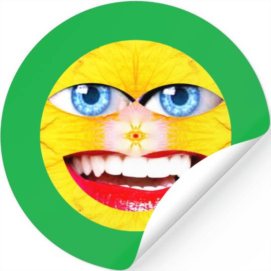 Smile Face Have a Nice Day Promote Happiness Joy Stickers