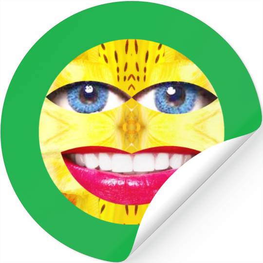 Smile Face Have a Nice Day Promote Happiness Joy Stickers