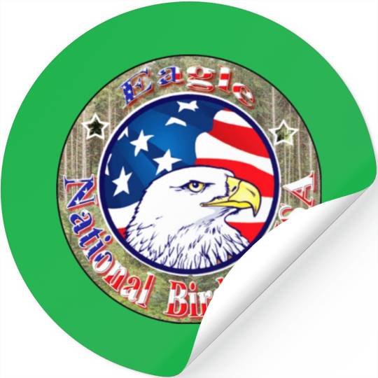 Hanes Youth Stickers USA Eagle