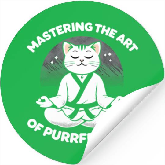 Kung Fu Chinese Kung Fu Asian Kung Fu Self defense Stickers