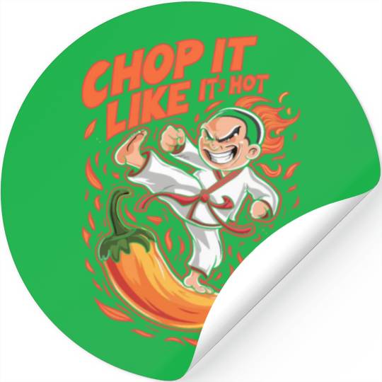 Kung Fu Chinese Kung Fu Asian Kung Fu Self defense Stickers