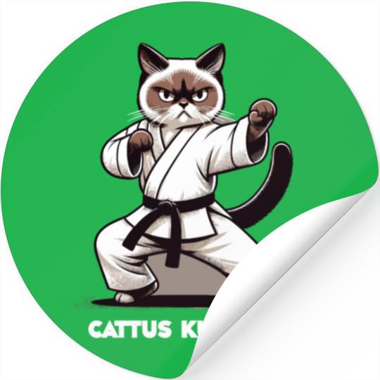 Kung Fu Chinese Kung Fu Asian Kung Fu Self defense Stickers