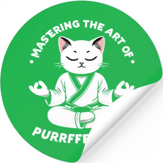 Kung Fu Chinese Kung Fu Asian Kung Fu Self defense Stickers