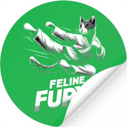 Kung Fu Chinese Kung Fu Asian Kung Fu Self defense Stickers