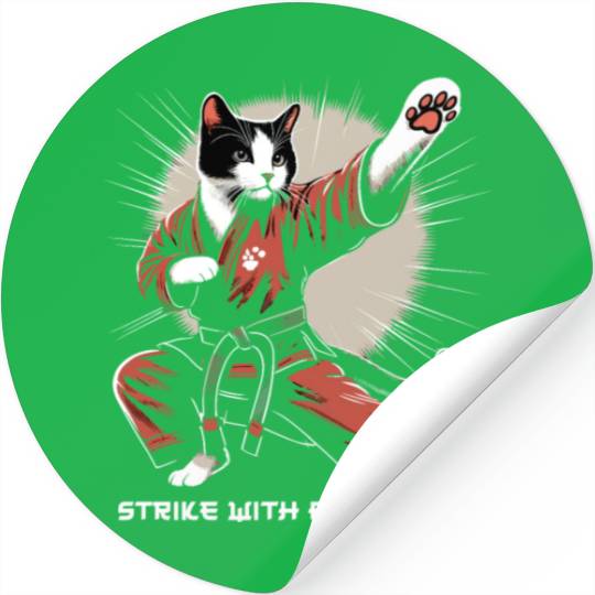 Kung Fu Chinese Kung Fu Asian Kung Fu Self defense Stickers