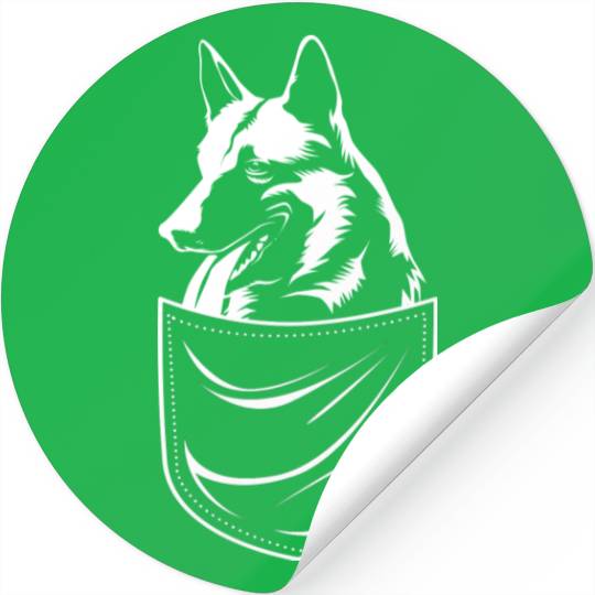 Cute Dog In Pocket Belgian Malinois Stickers