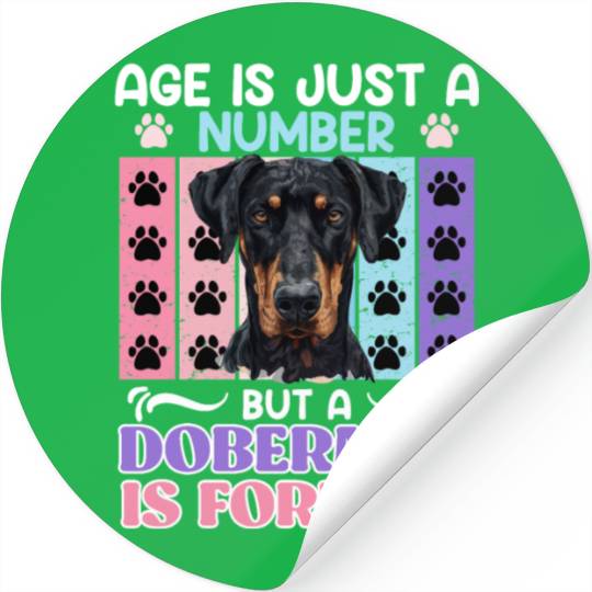 Doberman AGE IS JUST A NUMBER BUT DOBERMAN Stickers