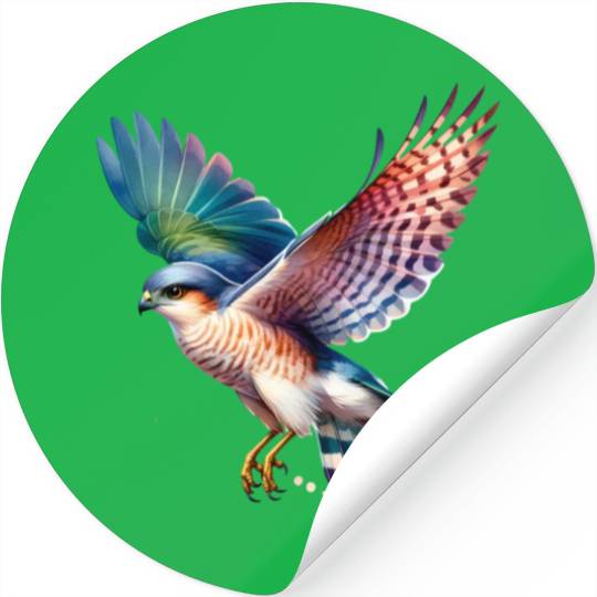 Collared Sparrowhawk in Flight Stickers