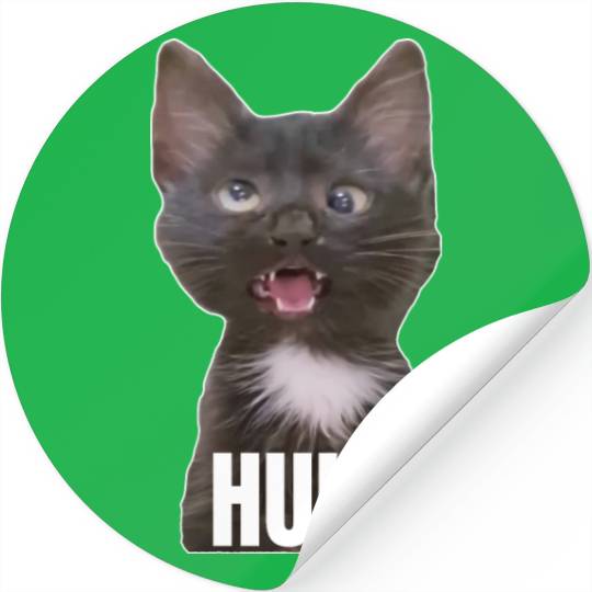 Funny Cross Eyed Cat Meme Huh Funny Cat Stickers