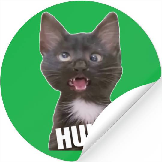 Funny Cross Eyed Cat Meme Huh Funny Cat Stickers