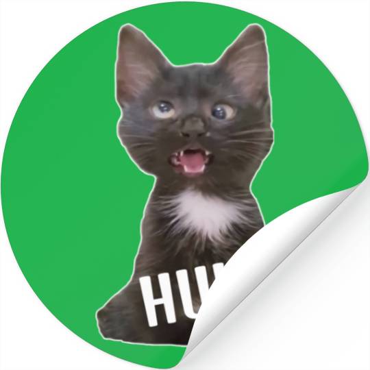 Funny Cross Eyed Cat Meme Huh Funny Cat Stickers