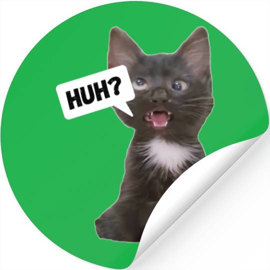 Funny Cross Eyed Cat Meme Huh Funny Cat Stickers