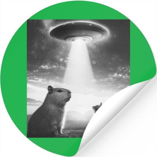 Funny Graphic Capybara Selfie With Ufos Weird Stickers