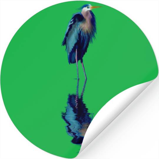 Great Blue Heron Stands Reflected Stickers