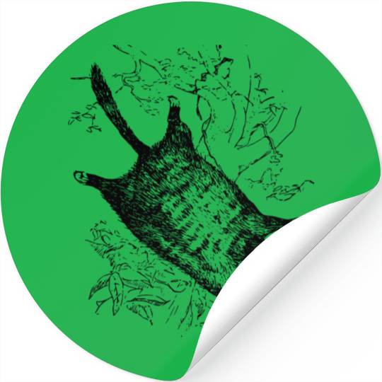 Flying squirrel Stickers