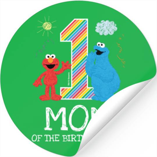 Sesame Street Rainbow 1st Birthday | Stickers