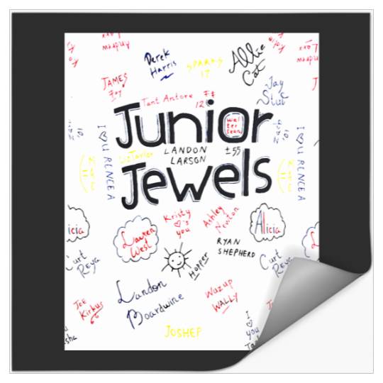 Eras Tour You Belong With Me Stickers