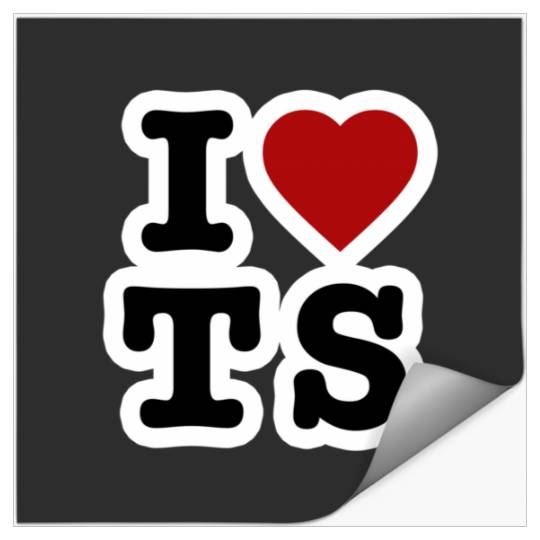 I Love Taylorr Swift Heart Stickers