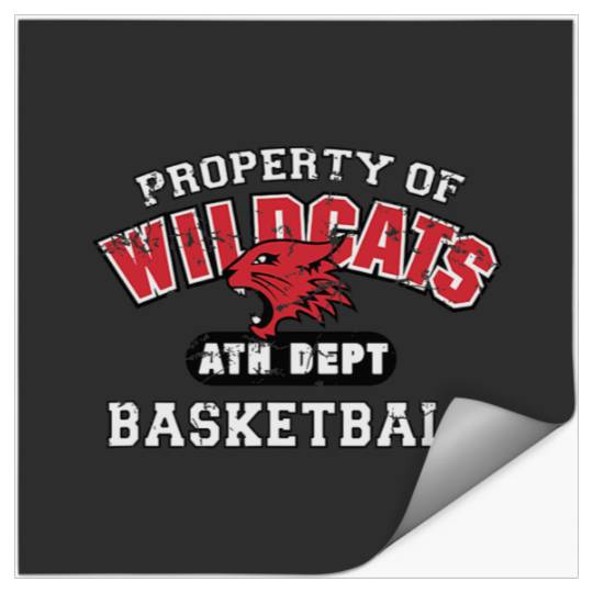 Disney High School Musical The Series Wildcats Distressed Stickers