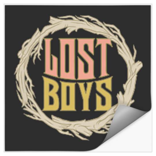Disneyss Peter Pan Lost Boys Never Land Pocket Front Back Stickers