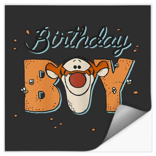 Disneyss Winnie The Pooh Birthday Boy Tigger Faces Stickers