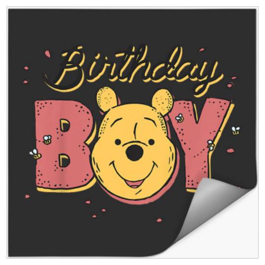 Kids Disney Winnie The Pooh Birthday Boy Pooh Fa Stickers