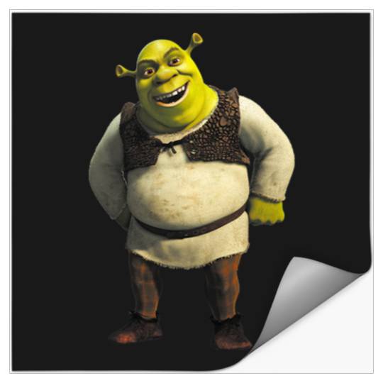 Shrek  5: Shrek Same Swamp Forever , Shrek Shirt, Disney Fiona Princess , Shrek,Shrek Stickers