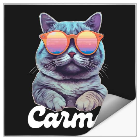 Discover Carma is a cat for cat lovers  : Vintage Taylor The Eras Tour , The Eras Tour Taylor Version, THE ERAS TOUR , Taylor Stickers