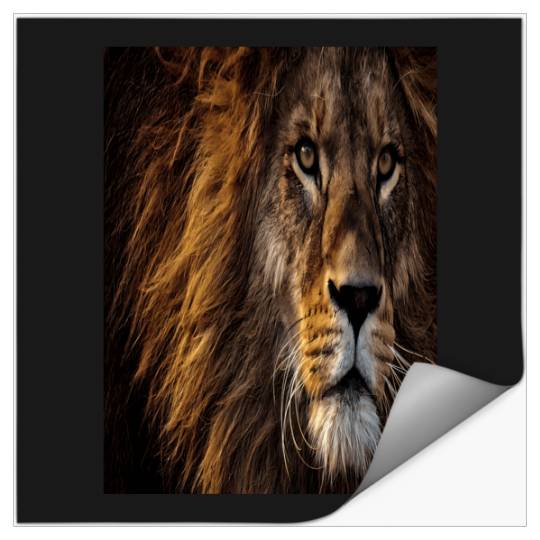 Lion King Disneyss Stickers