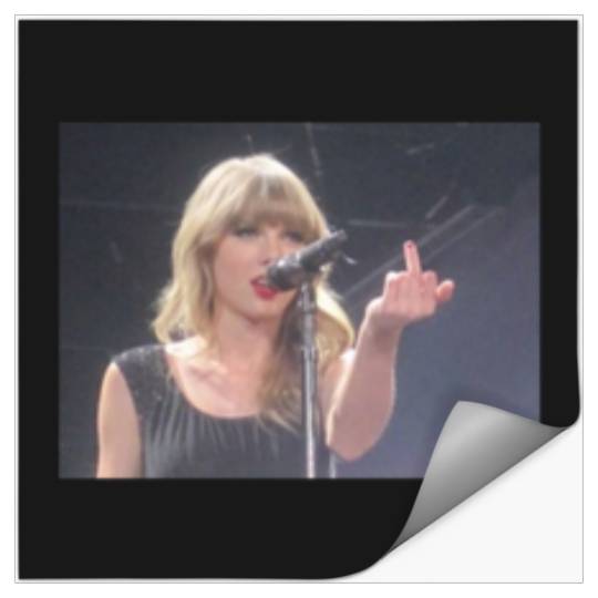 Discover Taylor middle finger meme Stickers