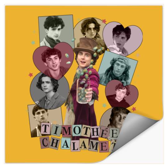 Timothe Chalamet Eras Tour Stickers | Vintage Timothee Chalamet Stickers | Timothee Chalamet Homage Stickers | Birthday Gift
