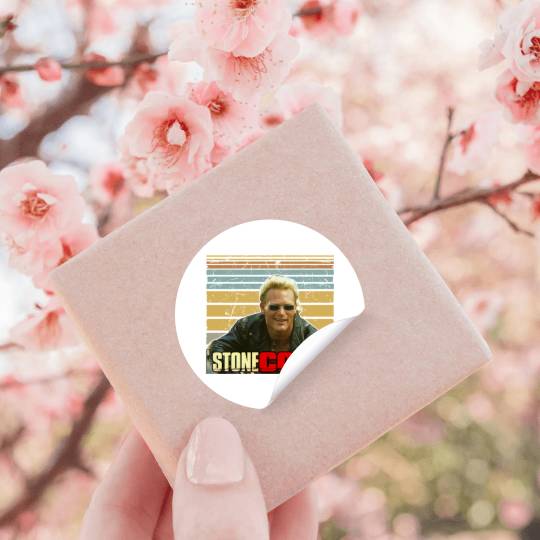 Discover Taylor version Reputation Snakeskin Sticker.png Stickers