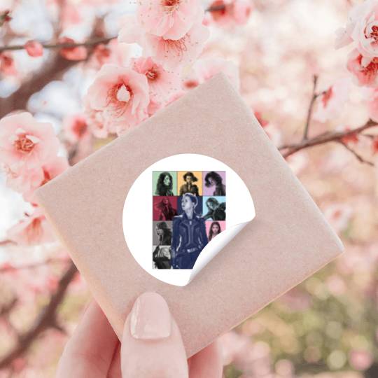 Black Widow Eras Tour Stickers