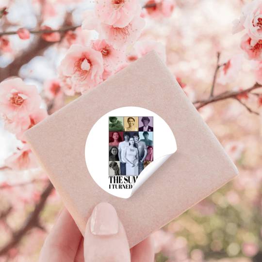 The Summer I Turned Pretty Eras Tour Stickers