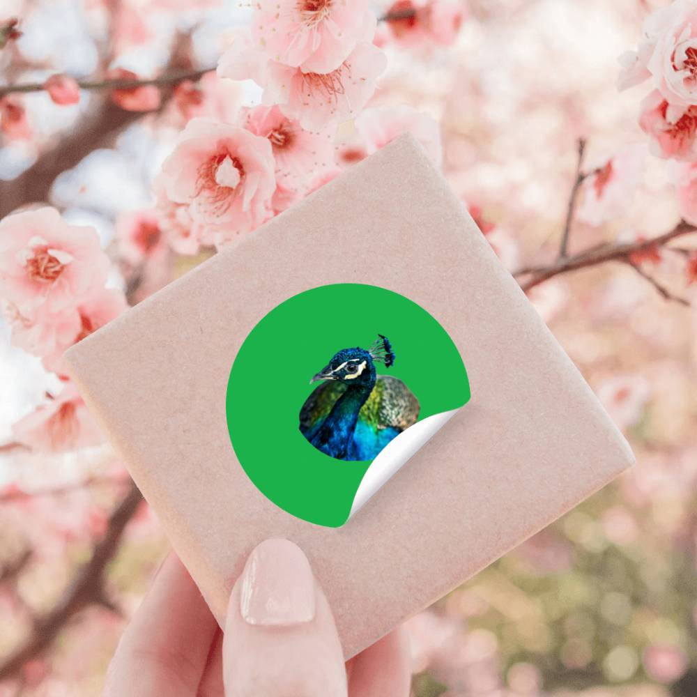 Disney-Up Shirt, Kevin Up Shirt, Up Balloon Shirt, Disney-Balloon Stickers