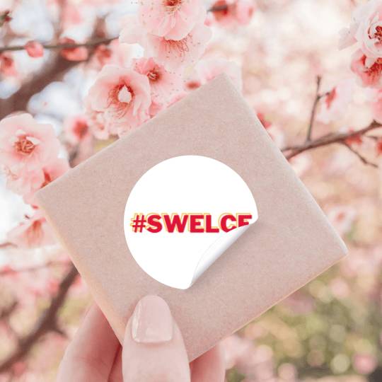 taylorr Swift and Travis Kelce Swelce (1) Stickers