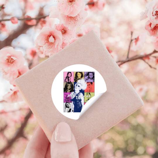 Miley Cyrus Eras Tour Stickers