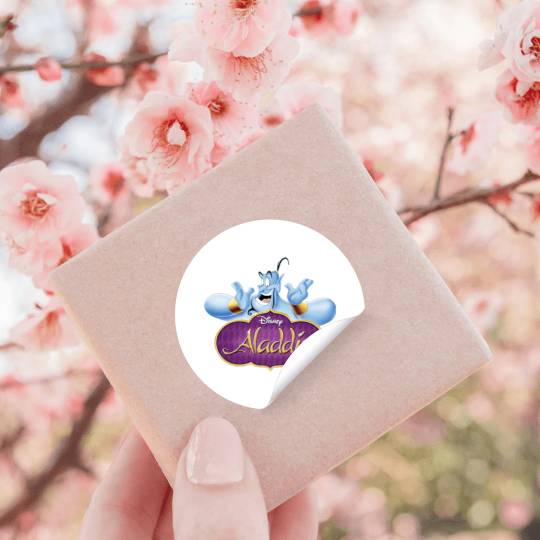 Aladdin Disneys Stickers