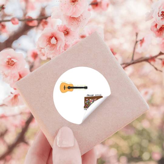 Chicago N2 Eras Tour Surprise Songs PackActive Stickers