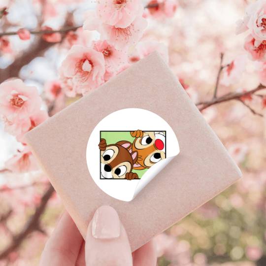 disneys Chip 'n' Dale Rescue Rangers Cute Frame Portrait Stickers