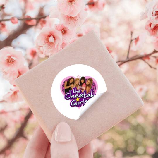Disneyss Channel The Cheetah Girls Characters And Logo Stickers