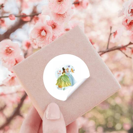 Disney Princess Tiana Cinde Graduation Clas Stickers