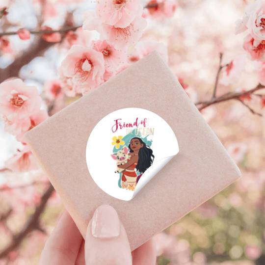 Disneyss Moana Pua Hug Friend Of The Ocean Stickers