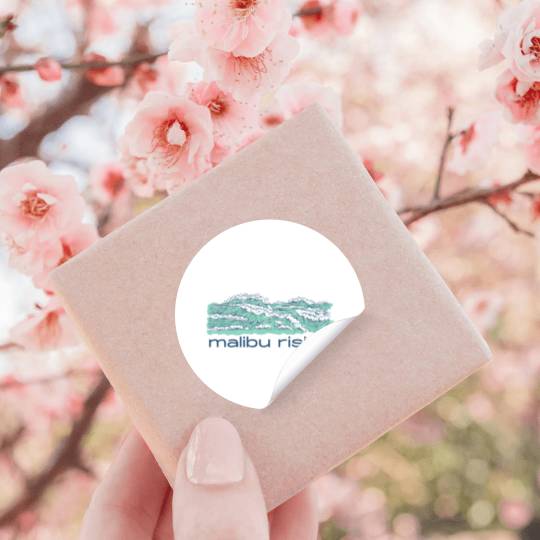 Discover -Malibu-Rising-Taylor-Reid Book Novel Illustration Stickers